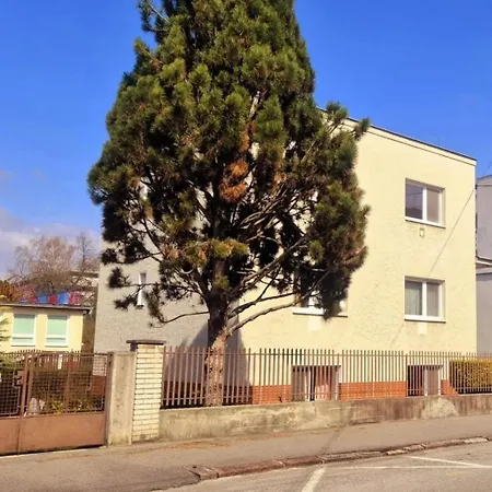 Big Flat With Garden *